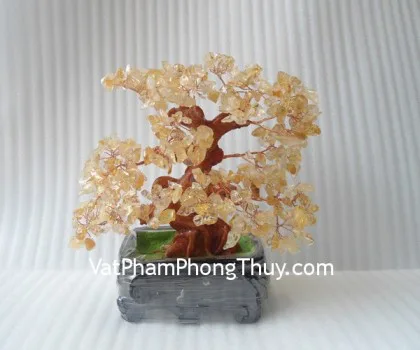 Cây thạch anh vàng chậu ngang nhỏ CA231