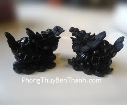 Rùa đầu rồng đá hắc ngà có đuôi DT209