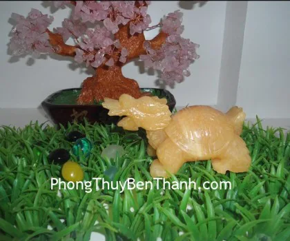 Rùa đầu rồng đá hoàng long nhỏ FM146
