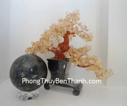 Quả cầu đá đỏ hải dương (335gr) FGM147-F2-1326
