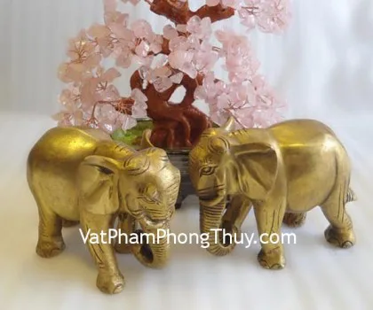 Voi đỏ có cải, mẫu đơn, cây - bước đến thành công H364G